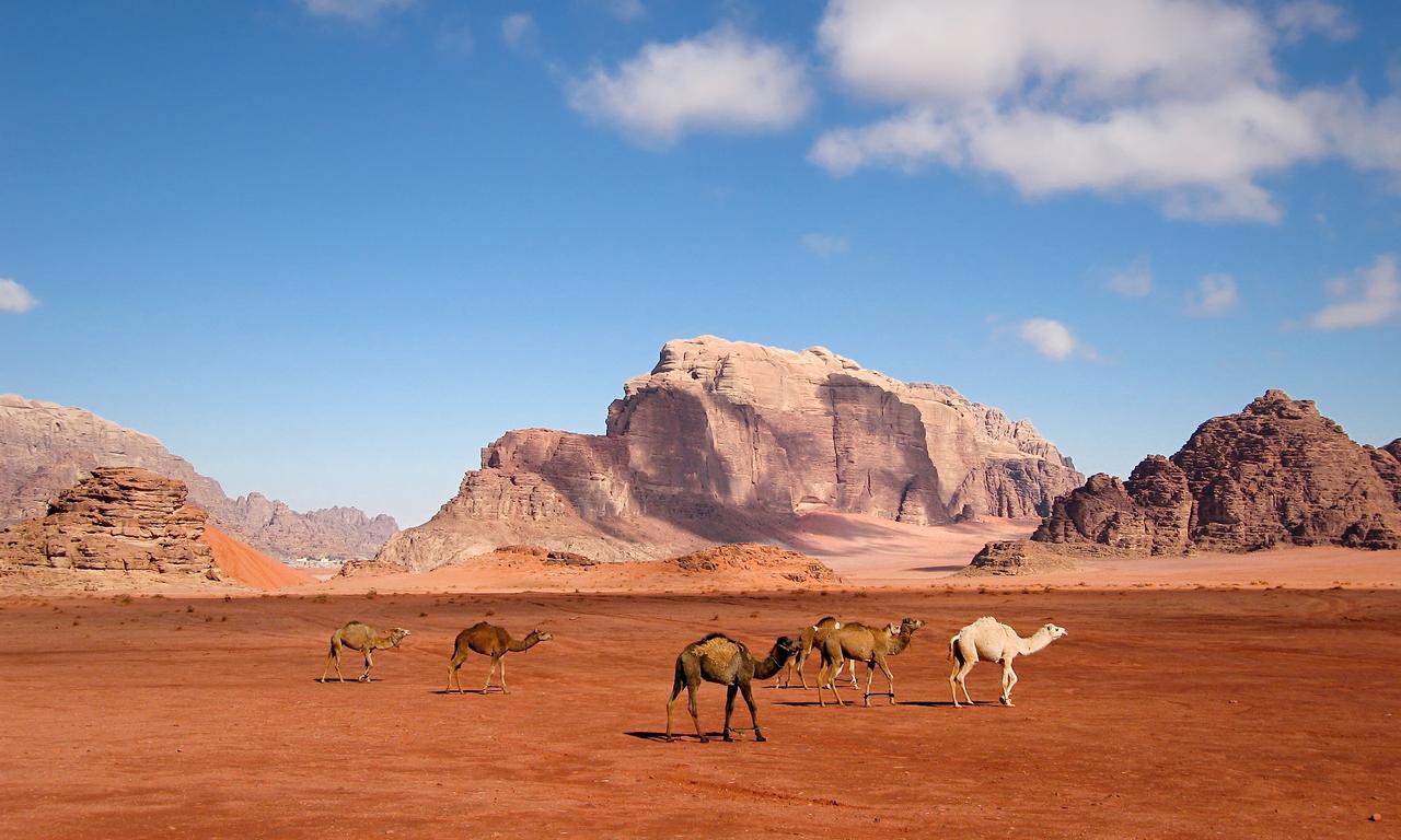 Wadi Rum Moon Light Camp 외부 사진