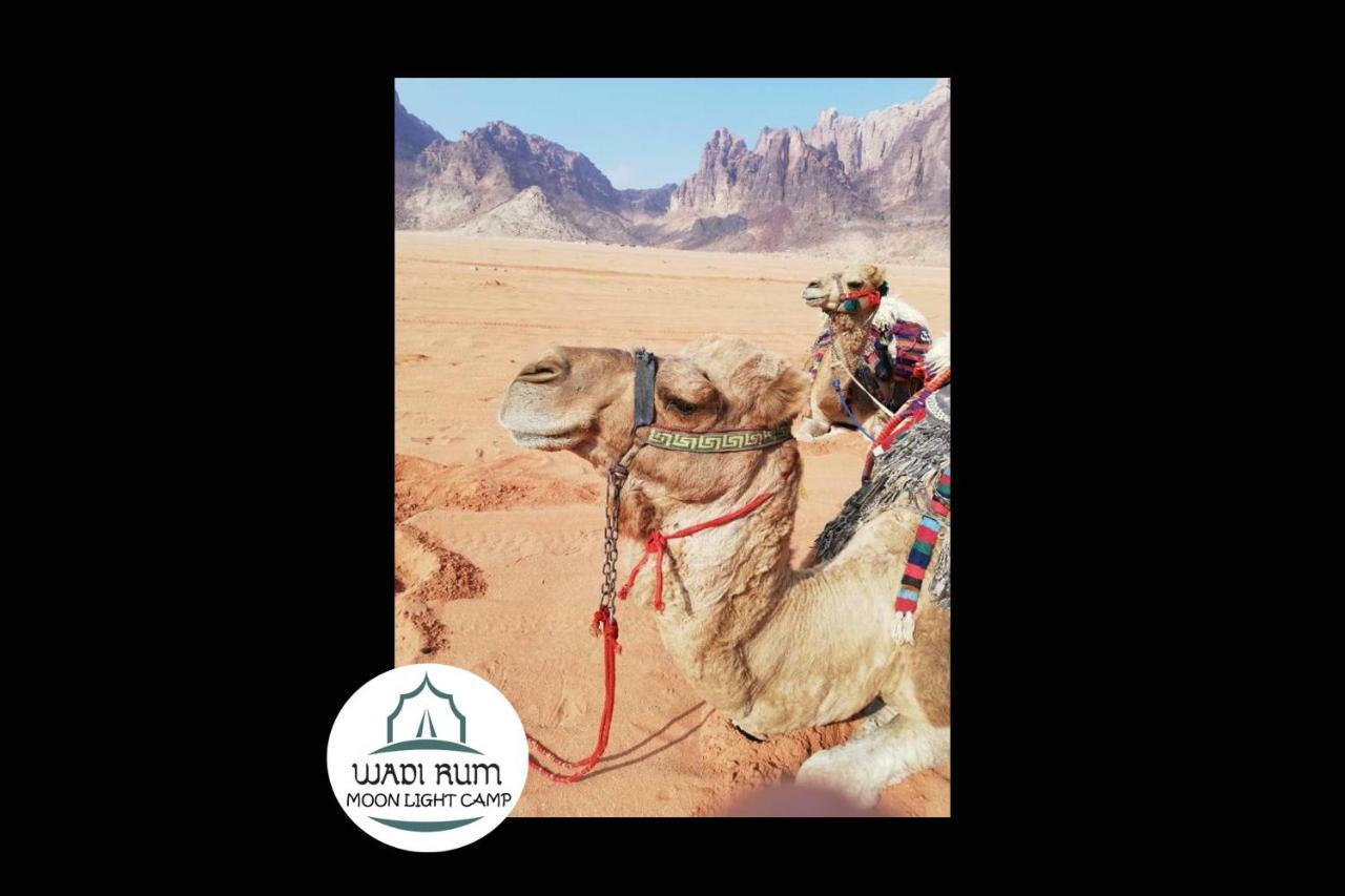 Wadi Rum Moon Light Camp 외부 사진